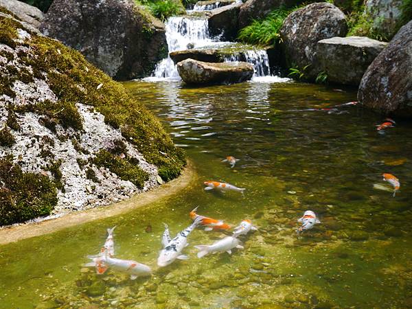 1050330 馬來西亞之旅191.JPG 1050330 馬來西亞之旅191.JPG