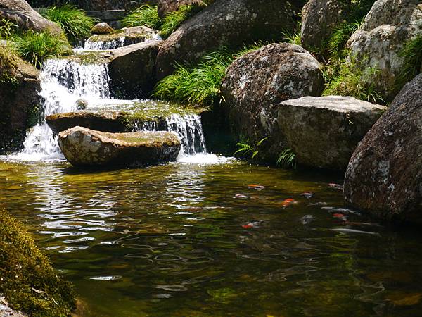 1050330 馬來西亞之旅193.JPG 1050330 馬來西亞之旅193.JPG