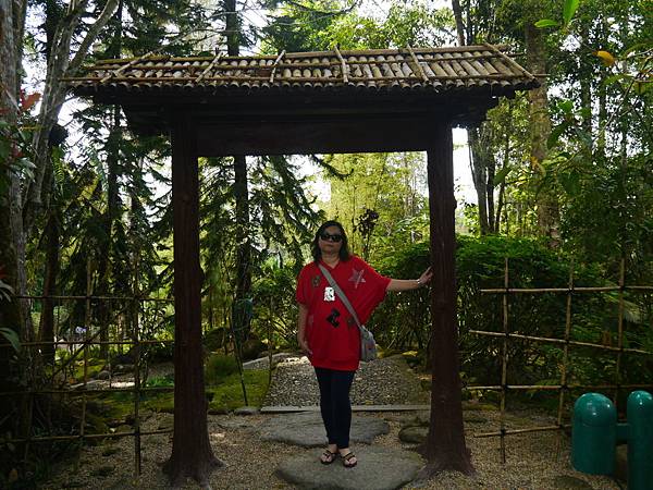 1050330 馬來西亞之旅195.JPG 1050330 馬來西亞之旅195.JPG