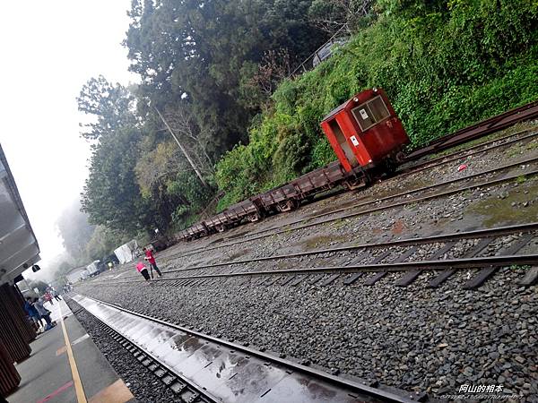 1051024 嘉義阿里山(PIXNET)021.jpg