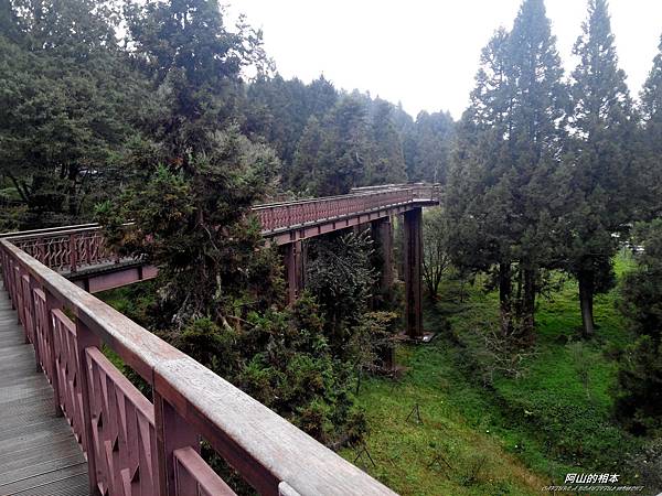 1051024 嘉義阿里山(PIXNET)029.jpg