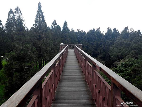 1051024 嘉義阿里山(PIXNET)030.jpg 1051024 嘉義阿里山(PIXNET)030.jpg