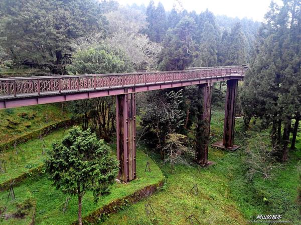 1051024 嘉義阿里山(PIXNET)031.jpg 1051024 嘉義阿里山(PIXNET)031.jpg