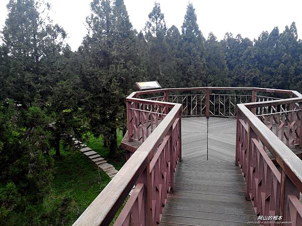 1051024 嘉義阿里山(PIXNET)032.jpg 1051024 嘉義阿里山(PIXNET)032.jpg