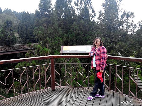 1051024 嘉義阿里山(PIXNET)035.jpg 1051024 嘉義阿里山(PIXNET)035.jpg