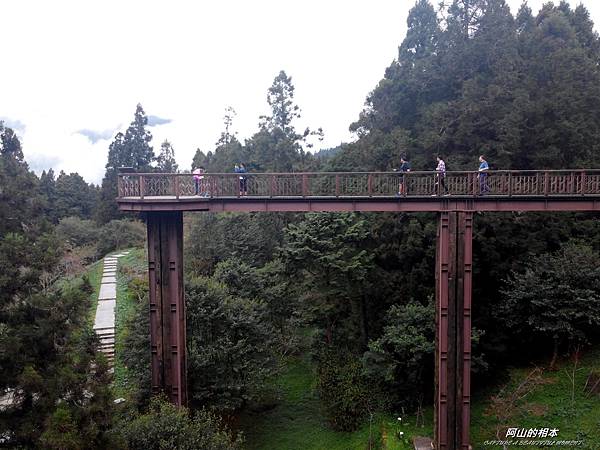 1051024 嘉義阿里山(PIXNET)038.jpg