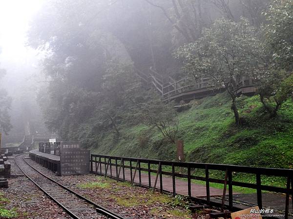 1051024 嘉義阿里山(PIXNET)043.jpg