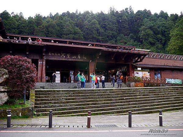 1051024 嘉義阿里山(PIXNET)053.JPG 1051024 嘉義阿里山(PIXNET)053.JPG