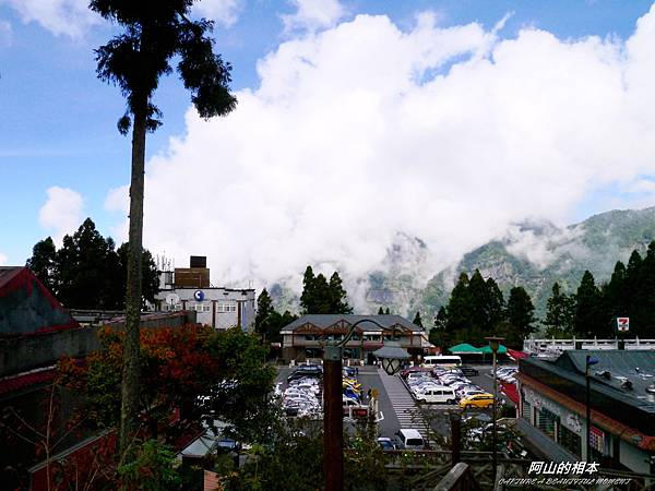 1051024 嘉義阿里山(PIXNET)054.JPG