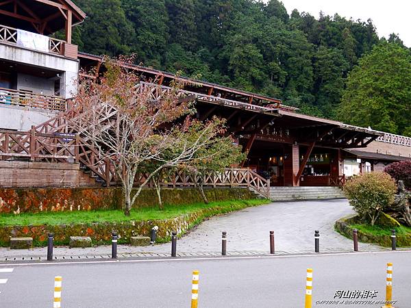 1051024 嘉義阿里山(PIXNET)055.JPG