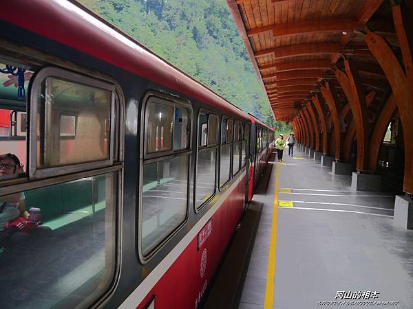 1051024 嘉義阿里山(PIXNET)056.JPG 1051024 嘉義阿里山(PIXNET)056.JPG