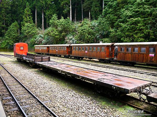 1051024 嘉義阿里山(PIXNET)057.JPG