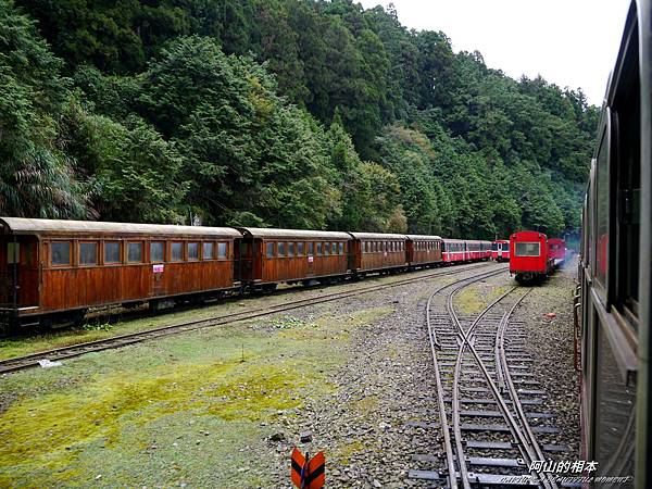 1051024 嘉義阿里山(PIXNET)058.JPG 1051024 嘉義阿里山(PIXNET)058.JPG