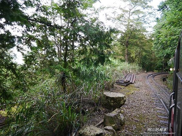 1051024 嘉義阿里山(PIXNET)069.JPG