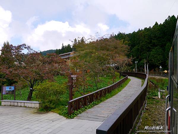 1051024 嘉義阿里山(PIXNET)085.JPG