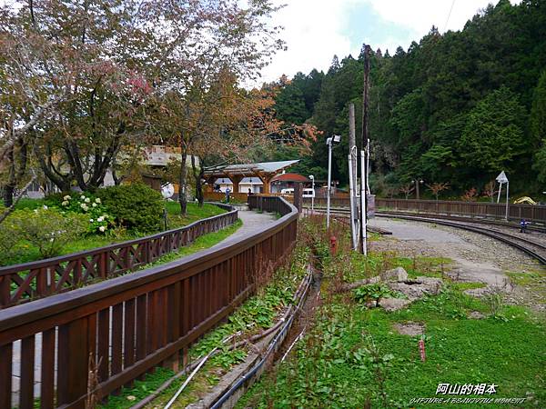 1051024 嘉義阿里山(PIXNET)086.JPG 1051024 嘉義阿里山(PIXNET)086.JPG
