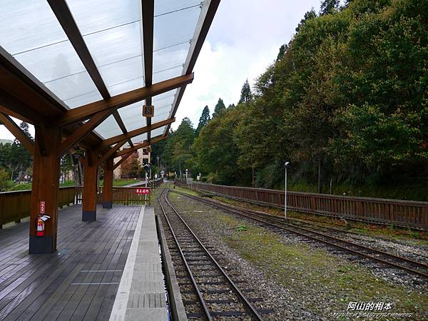 1051024 嘉義阿里山(PIXNET)094.JPG 1051024 嘉義阿里山(PIXNET)094.JPG