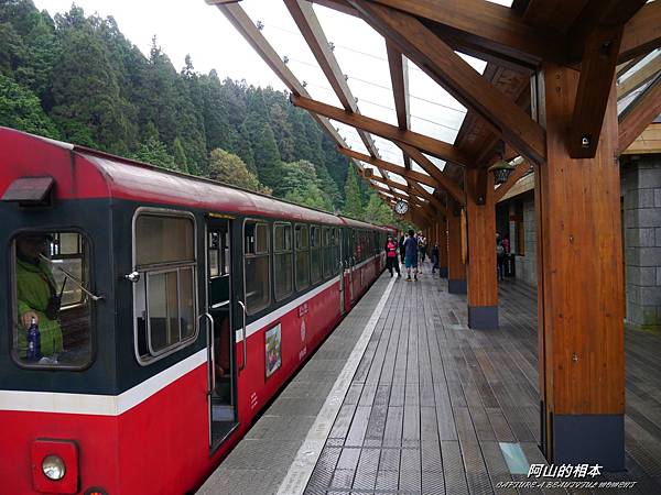 1051024 嘉義阿里山(PIXNET)096.JPG