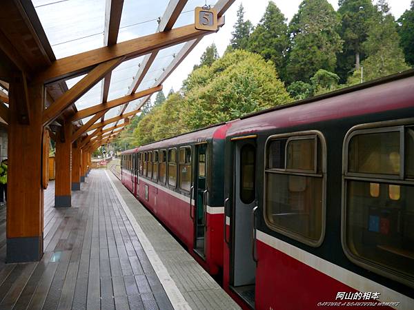 1051024 嘉義阿里山(PIXNET)099.JPG