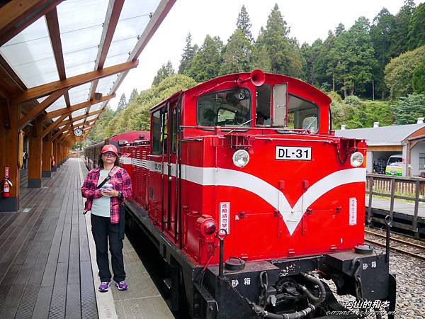 1051024 嘉義阿里山(PIXNET)101.JPG 1051024 嘉義阿里山(PIXNET)101.JPG