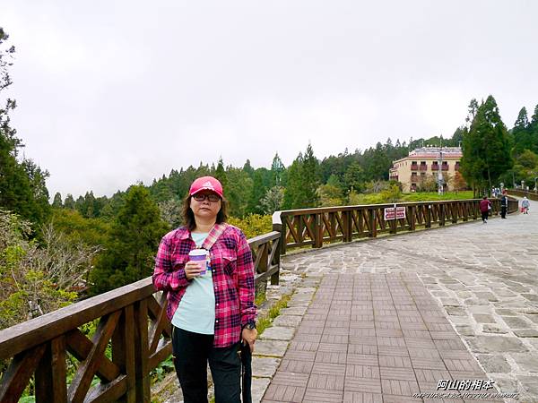 1051024 嘉義阿里山(PIXNET)104.JPG 1051024 嘉義阿里山(PIXNET)104.JPG