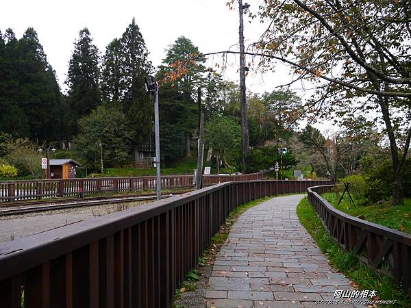 1051024 嘉義阿里山(PIXNET)106.JPG 1051024 嘉義阿里山(PIXNET)106.JPG