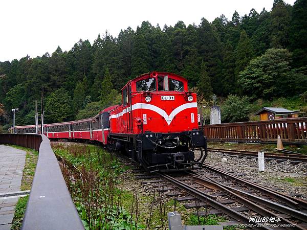 1051024 嘉義阿里山(PIXNET)109.JPG 1051024 嘉義阿里山(PIXNET)109.JPG