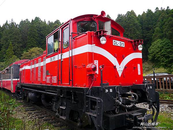 1051024 嘉義阿里山(PIXNET)110.JPG 1051024 嘉義阿里山(PIXNET)110.JPG