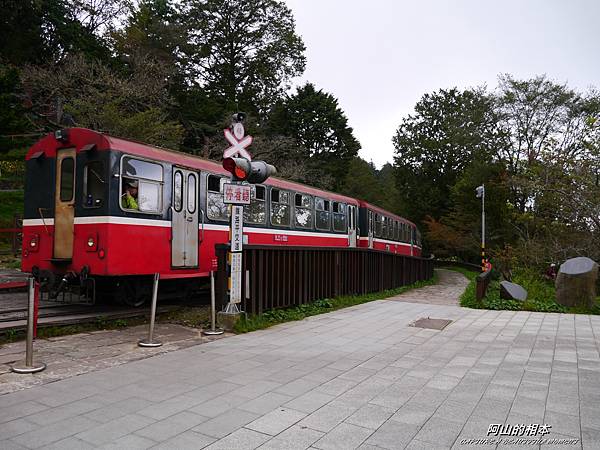 1051024 嘉義阿里山(PIXNET)111.JPG 1051024 嘉義阿里山(PIXNET)111.JPG