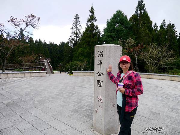 1051024 嘉義阿里山(PIXNET)112.JPG