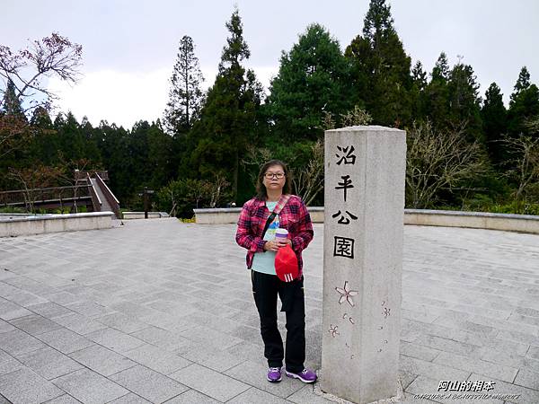 1051024 嘉義阿里山(PIXNET)113.JPG 1051024 嘉義阿里山(PIXNET)113.JPG