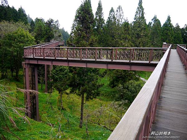 1051024 嘉義阿里山(PIXNET)115.JPG 1051024 嘉義阿里山(PIXNET)115.JPG