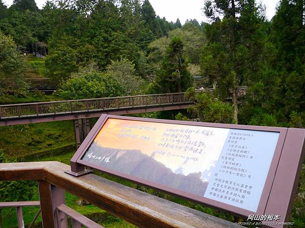 1051024 嘉義阿里山(PIXNET)118.JPG