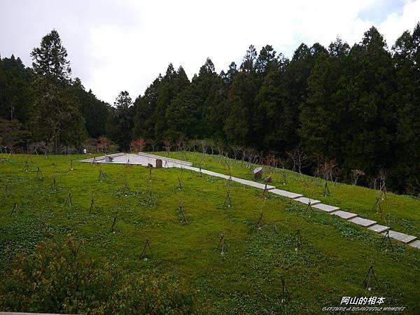 1051024 嘉義阿里山(PIXNET)119.JPG