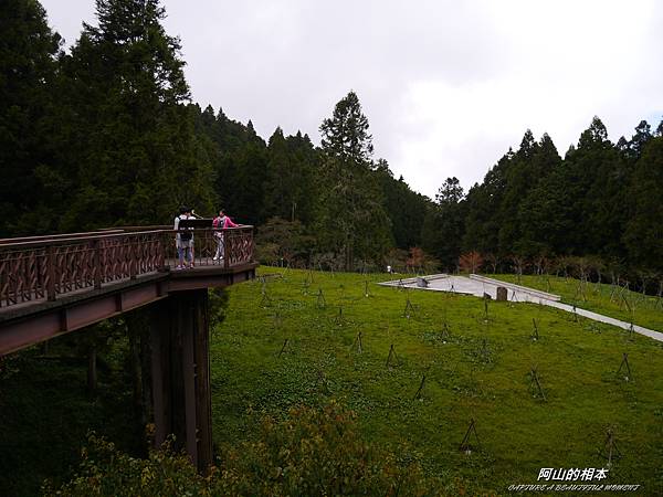 1051024 嘉義阿里山(PIXNET)120.JPG 1051024 嘉義阿里山(PIXNET)120.JPG