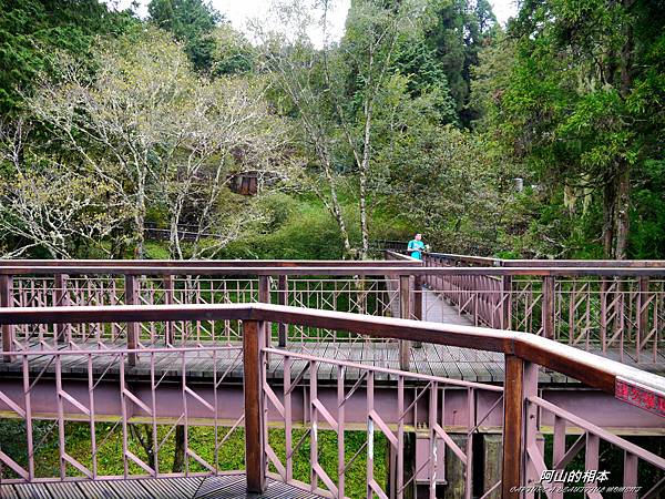 1051024 嘉義阿里山(PIXNET)121.JPG