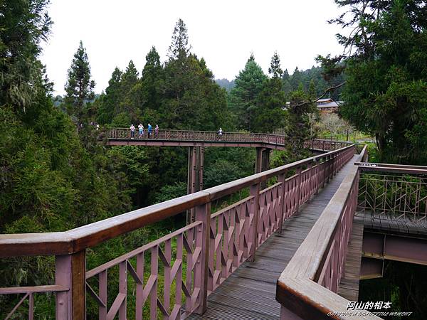 1051024 嘉義阿里山(PIXNET)123.JPG