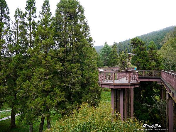 1051024 嘉義阿里山(PIXNET)125.JPG 1051024 嘉義阿里山(PIXNET)125.JPG