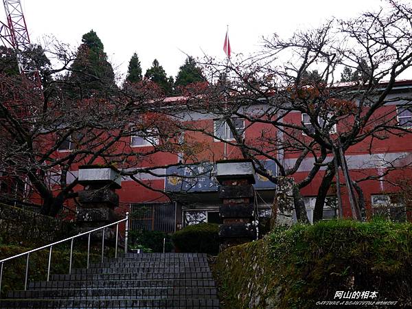 1051024 嘉義阿里山(PIXNET)129.JPG 1051024 嘉義阿里山(PIXNET)129.JPG