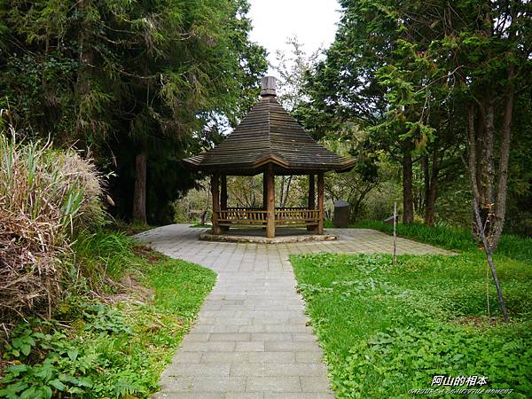 1051024 嘉義阿里山(PIXNET)134.JPG 1051024 嘉義阿里山(PIXNET)134.JPG