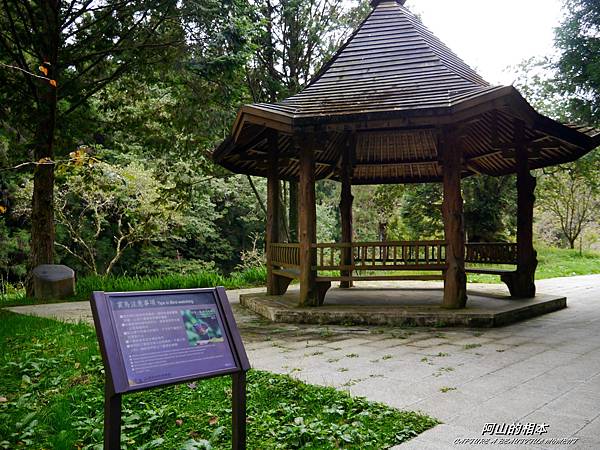 1051024 嘉義阿里山(PIXNET)135.JPG 1051024 嘉義阿里山(PIXNET)135.JPG