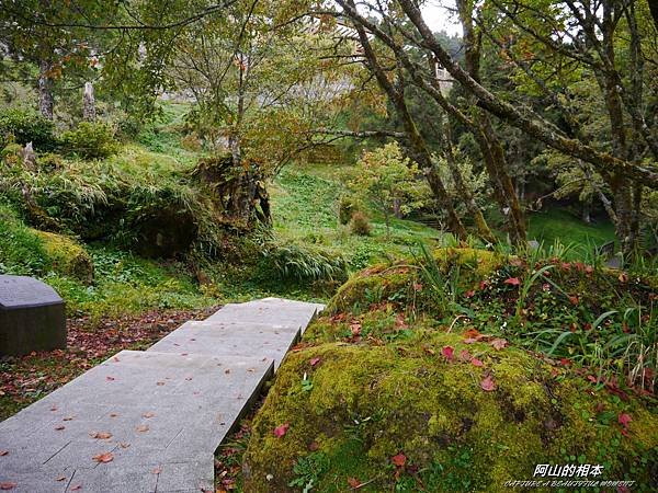 1051024 嘉義阿里山(PIXNET)139.JPG