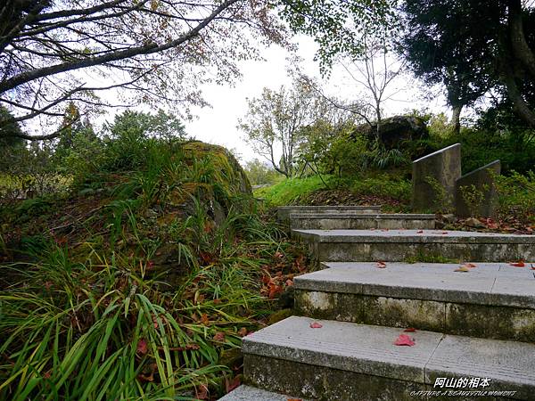 1051024 嘉義阿里山(PIXNET)142.JPG 1051024 嘉義阿里山(PIXNET)142.JPG