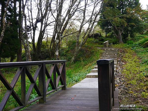 1051024 嘉義阿里山(PIXNET)144.JPG