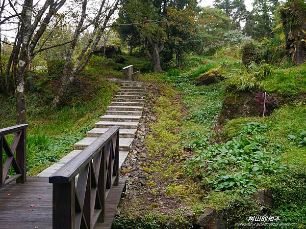 1051024 嘉義阿里山(PIXNET)146.JPG 1051024 嘉義阿里山(PIXNET)146.JPG
