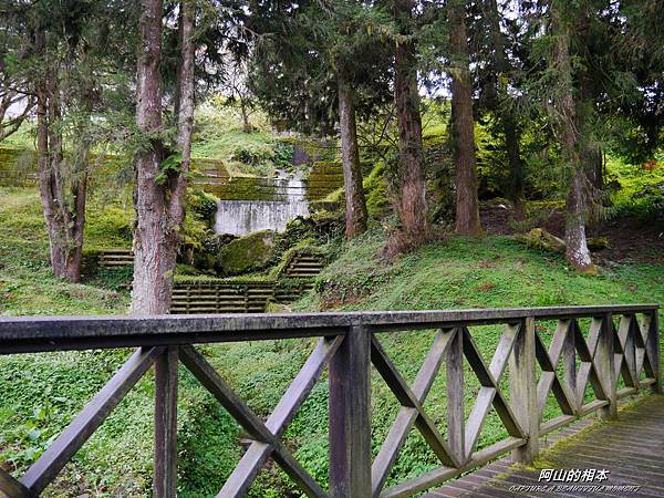 1051024 嘉義阿里山(PIXNET)149.JPG