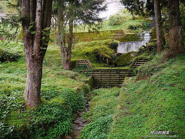 1051024 嘉義阿里山(PIXNET)152.JPG 1051024 嘉義阿里山(PIXNET)152.JPG