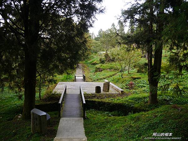 1051024 嘉義阿里山(PIXNET)156.JPG 1051024 嘉義阿里山(PIXNET)156.JPG