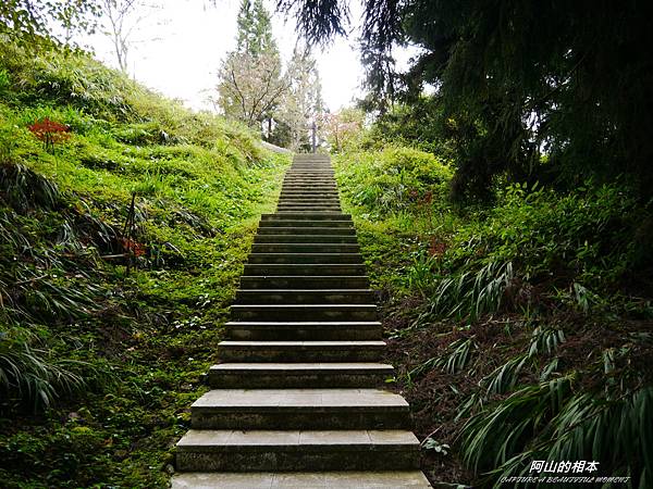 1051024 嘉義阿里山(PIXNET)157.JPG 1051024 嘉義阿里山(PIXNET)157.JPG