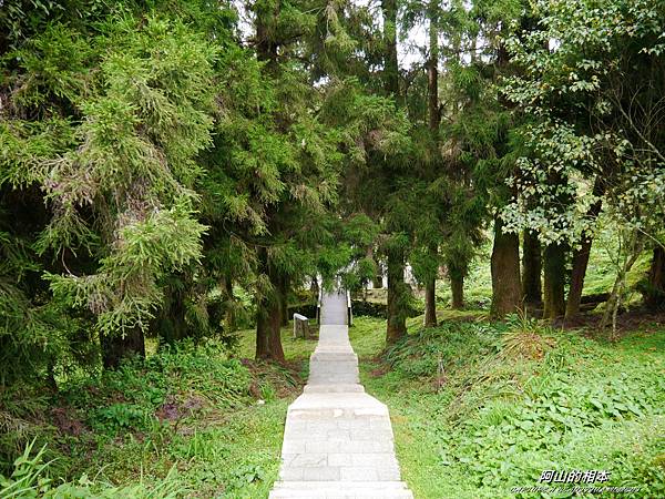 1051024 嘉義阿里山(PIXNET)159.JPG 1051024 嘉義阿里山(PIXNET)159.JPG